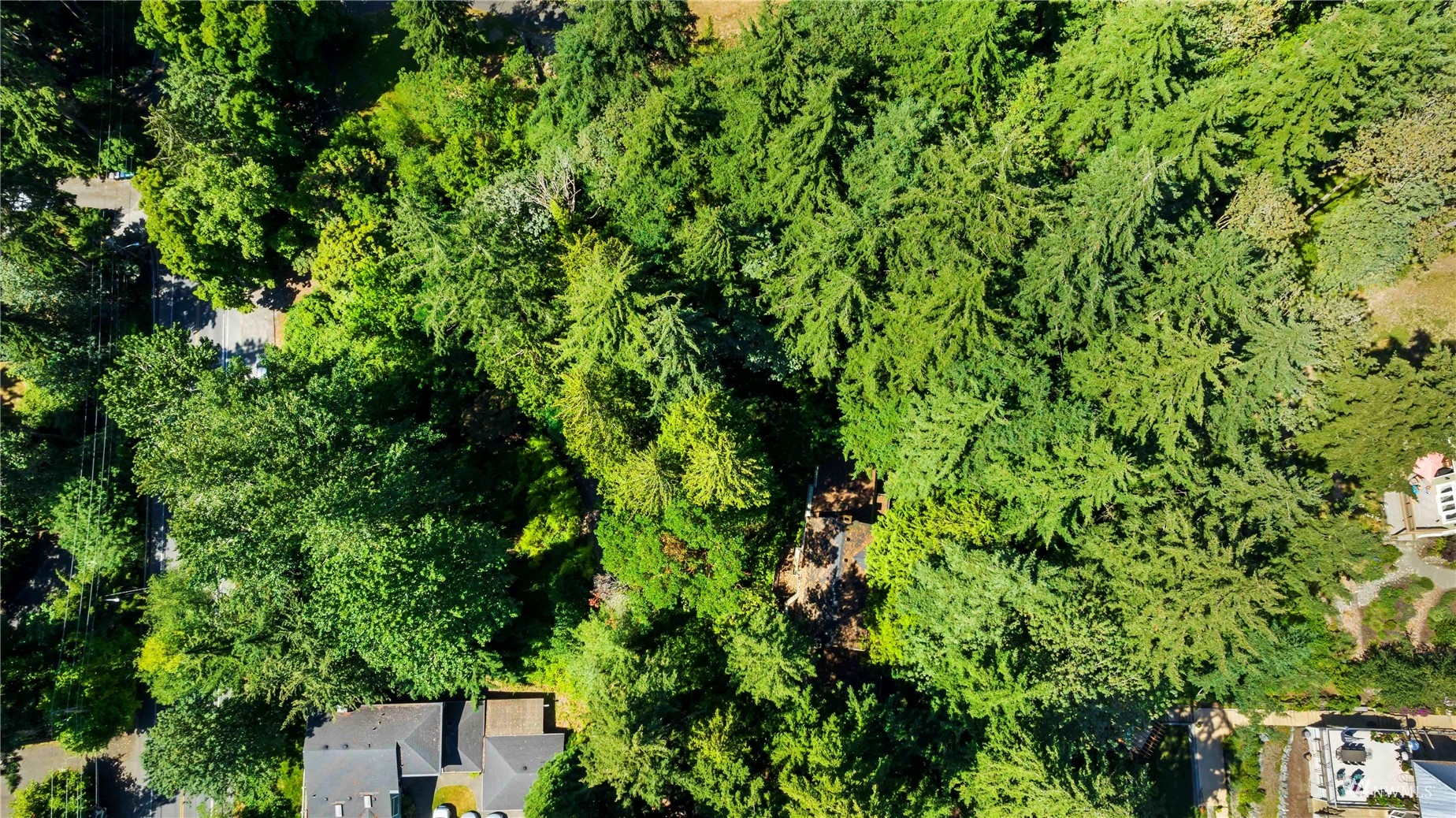 Listing 1946597 - Large Photo # 30