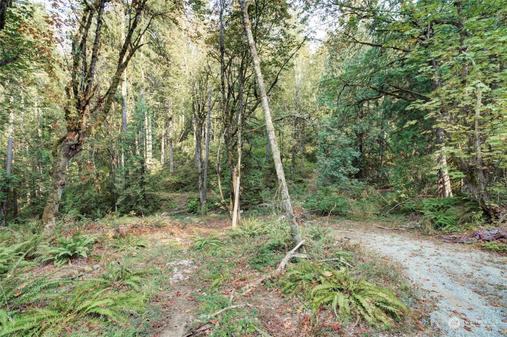 Listing 2004863 - Large Photo # 5