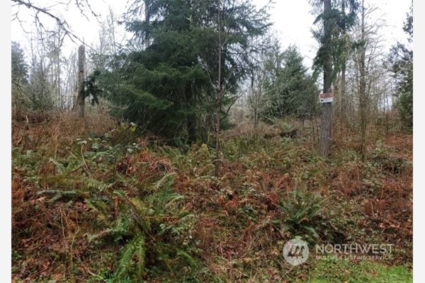0 NE Union Hill Road , Redmond, WA 98053, Redmond