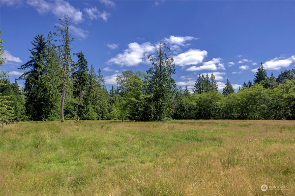 246 xx NE 109th Street , Redmond, WA 98053, Redmond