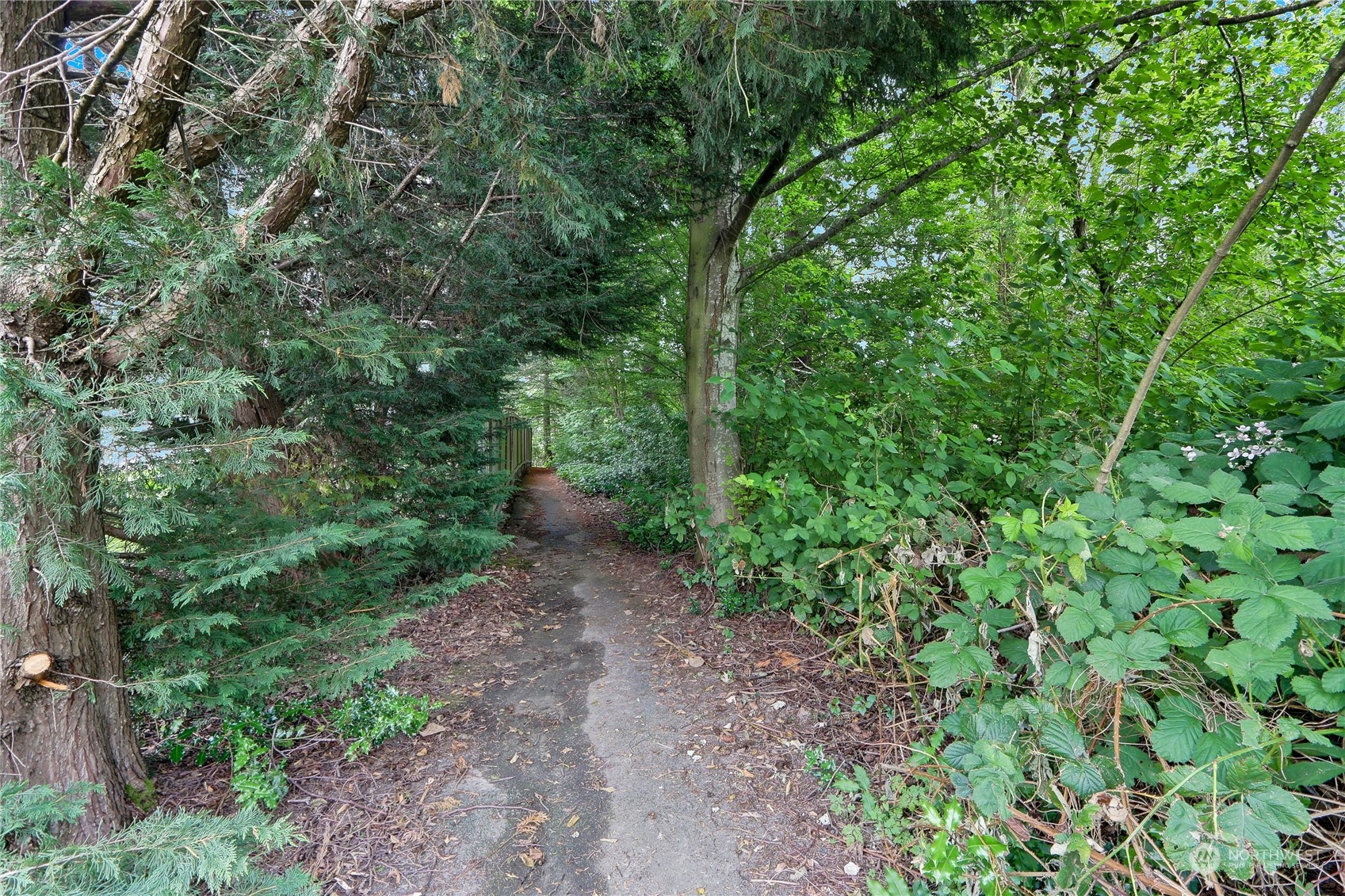 Listing 2029687 - Large Photo # 15