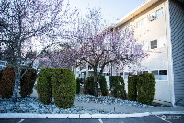 12701 NE 9th Place #D101, Bellevue, WA 98005, Bellevue