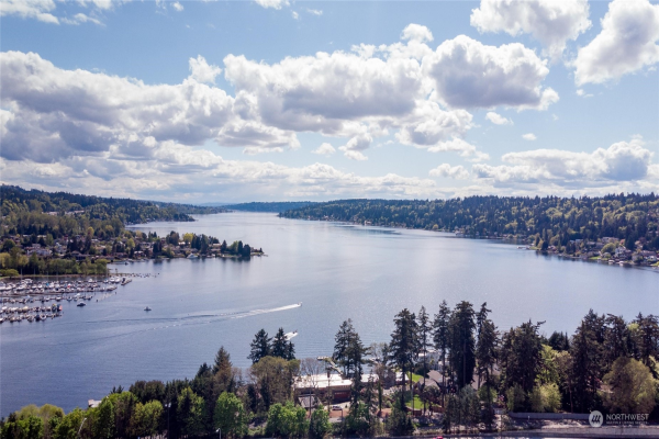 3264 112th Avenue SE, Bellevue, WA 98004, Bellevue