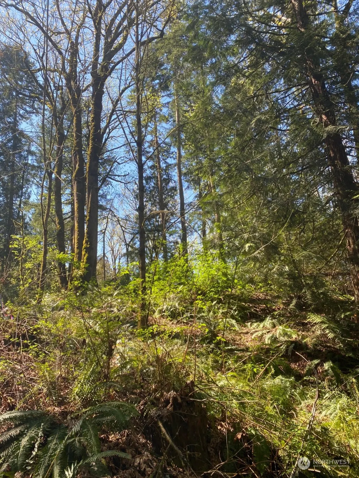 20335 SE 8th Street , Sammamish, WA 98074