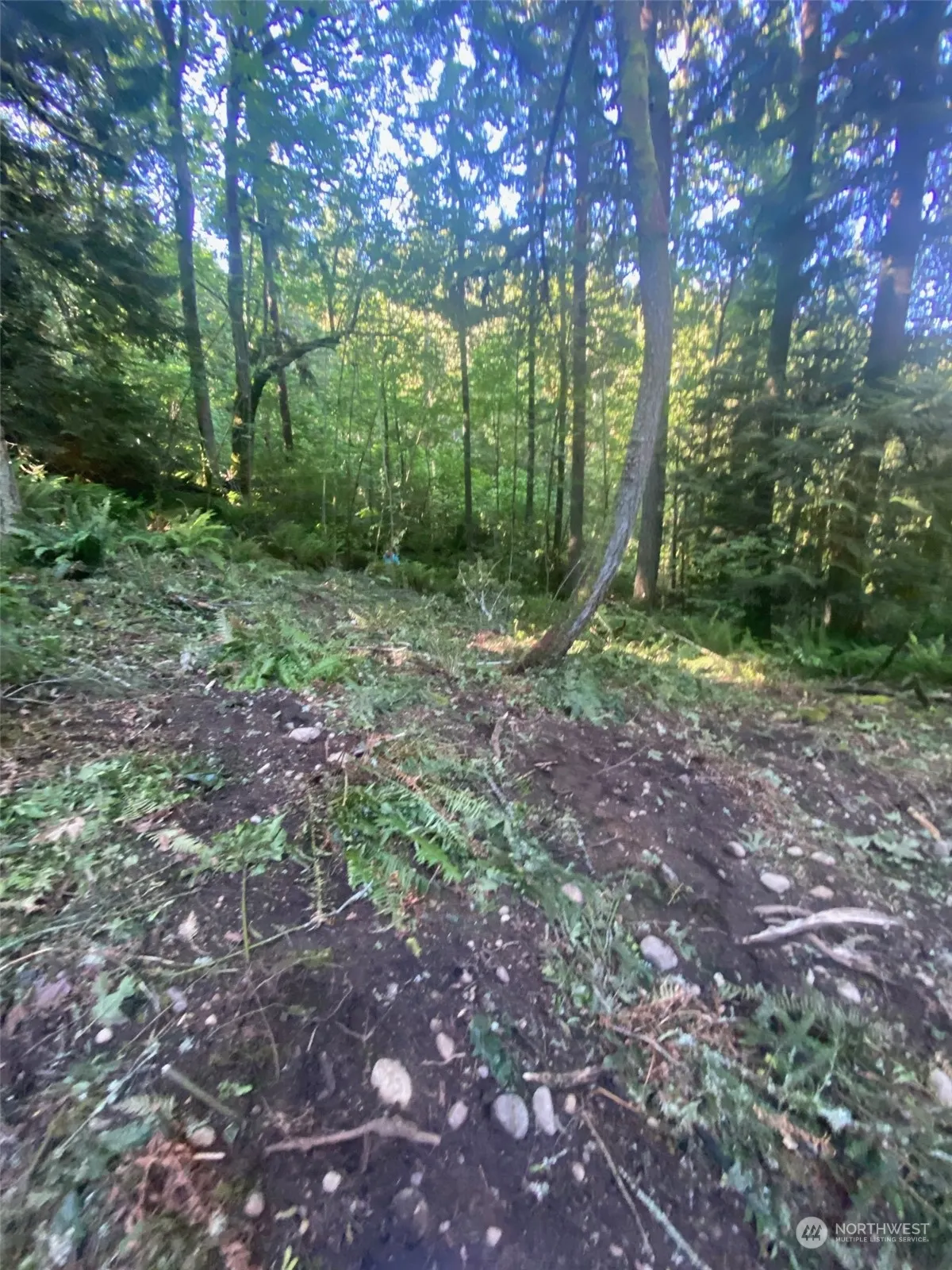 20335 SE 8th Street , Sammamish, WA 98074