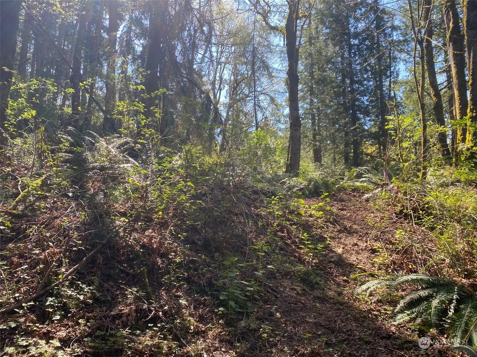 20335 SE 8th Street , Sammamish, WA 98074