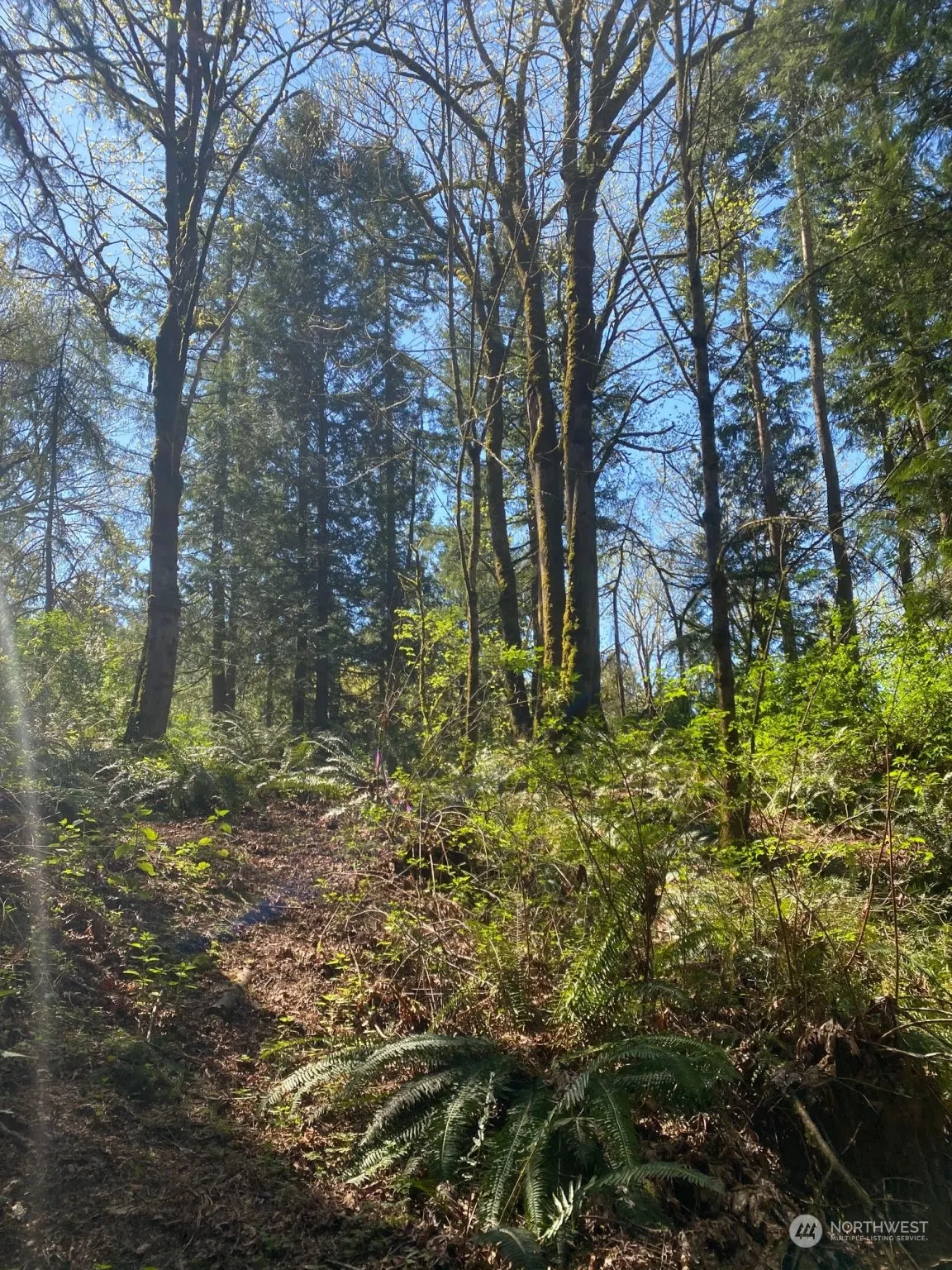 20335 SE 8th Street , Sammamish, WA 98074