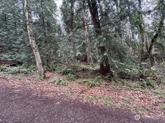 0 207th Place NE, Sammamish, WA 98074