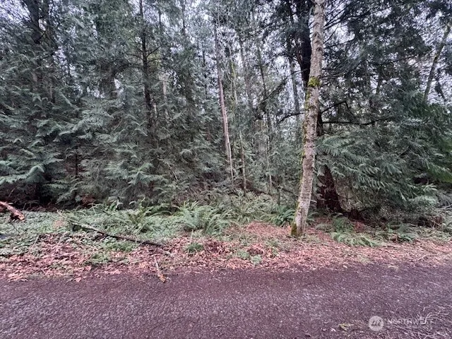 0 207th Place NE, Sammamish, WA 98074