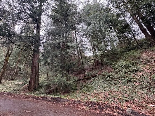 0 207th Place NE, Sammamish, WA 98074