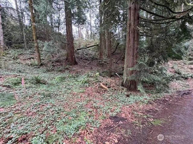 0 207th Place NE, Sammamish, WA 98074