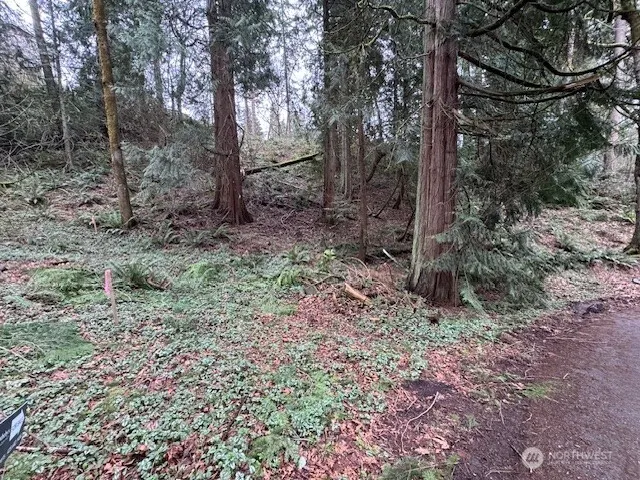0 207th Place NE, Sammamish, WA 98074