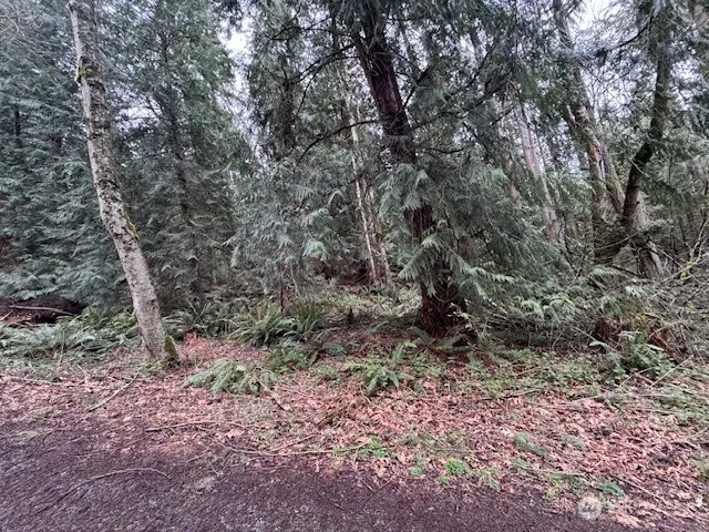 0 207th Place NE, Sammamish, WA 98074