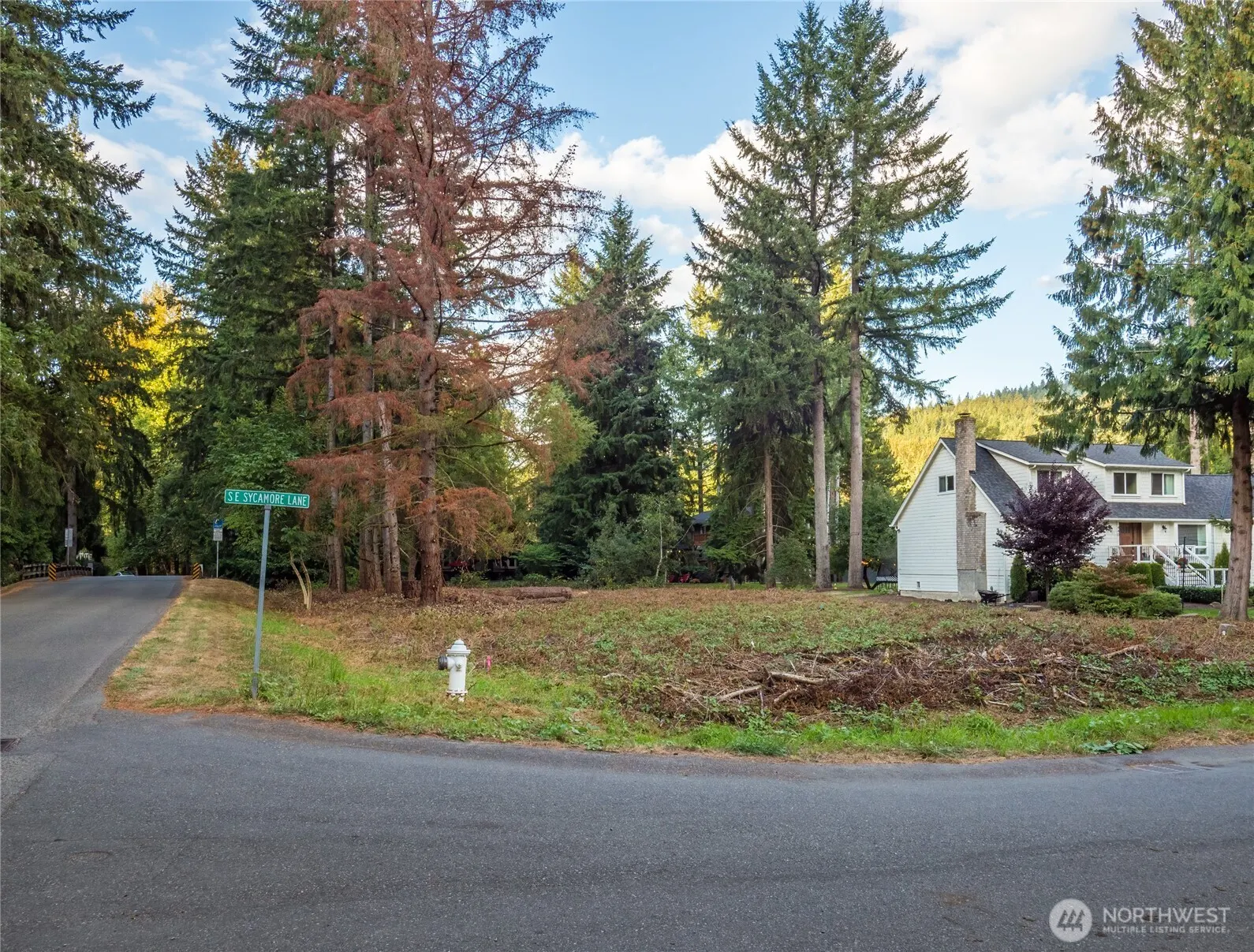 420 SE Sycamore Lane , Issaquah, WA 98027