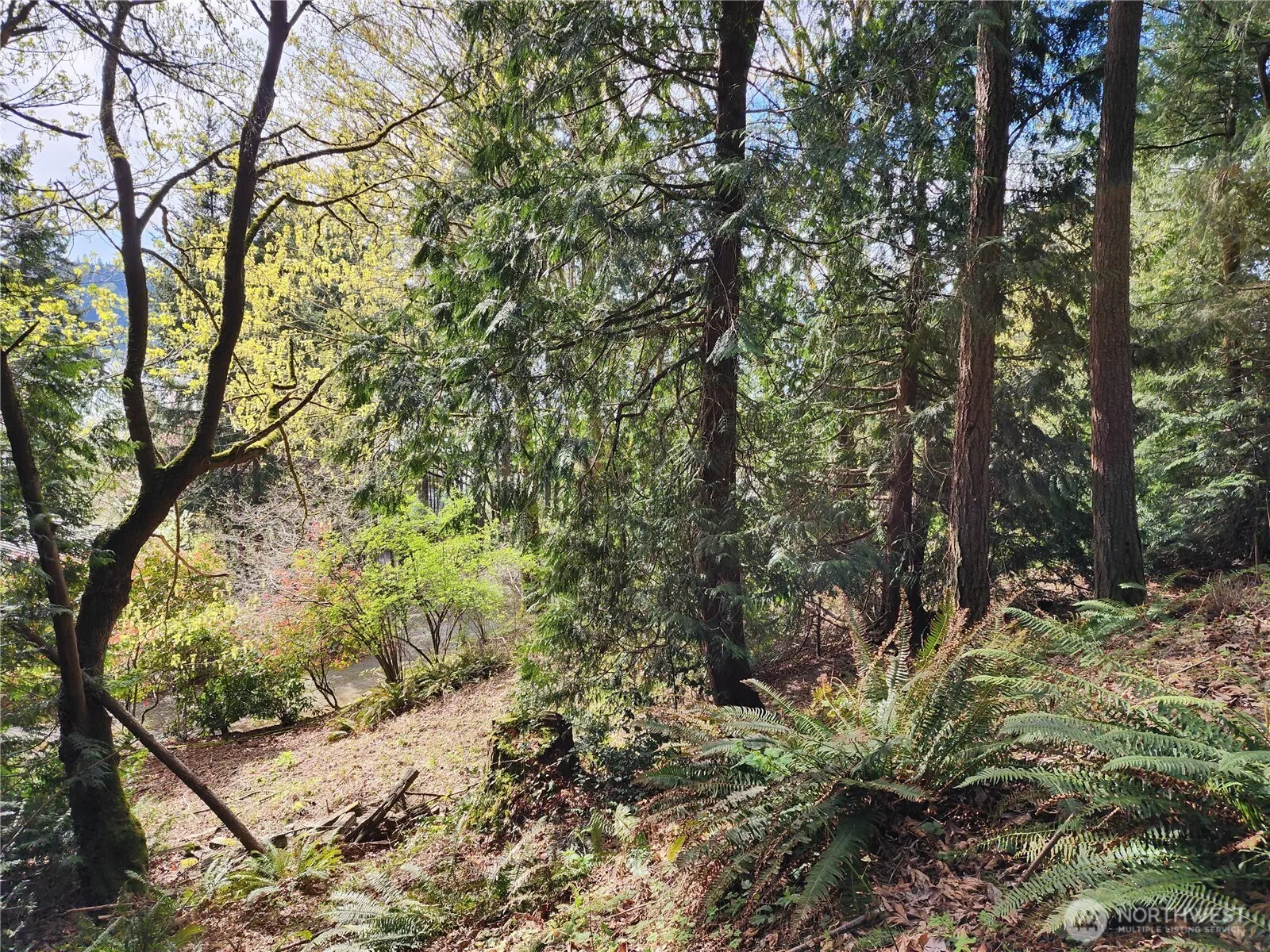 0 E Lake Sammamish Parkway NE, Sammamish, WA 98074