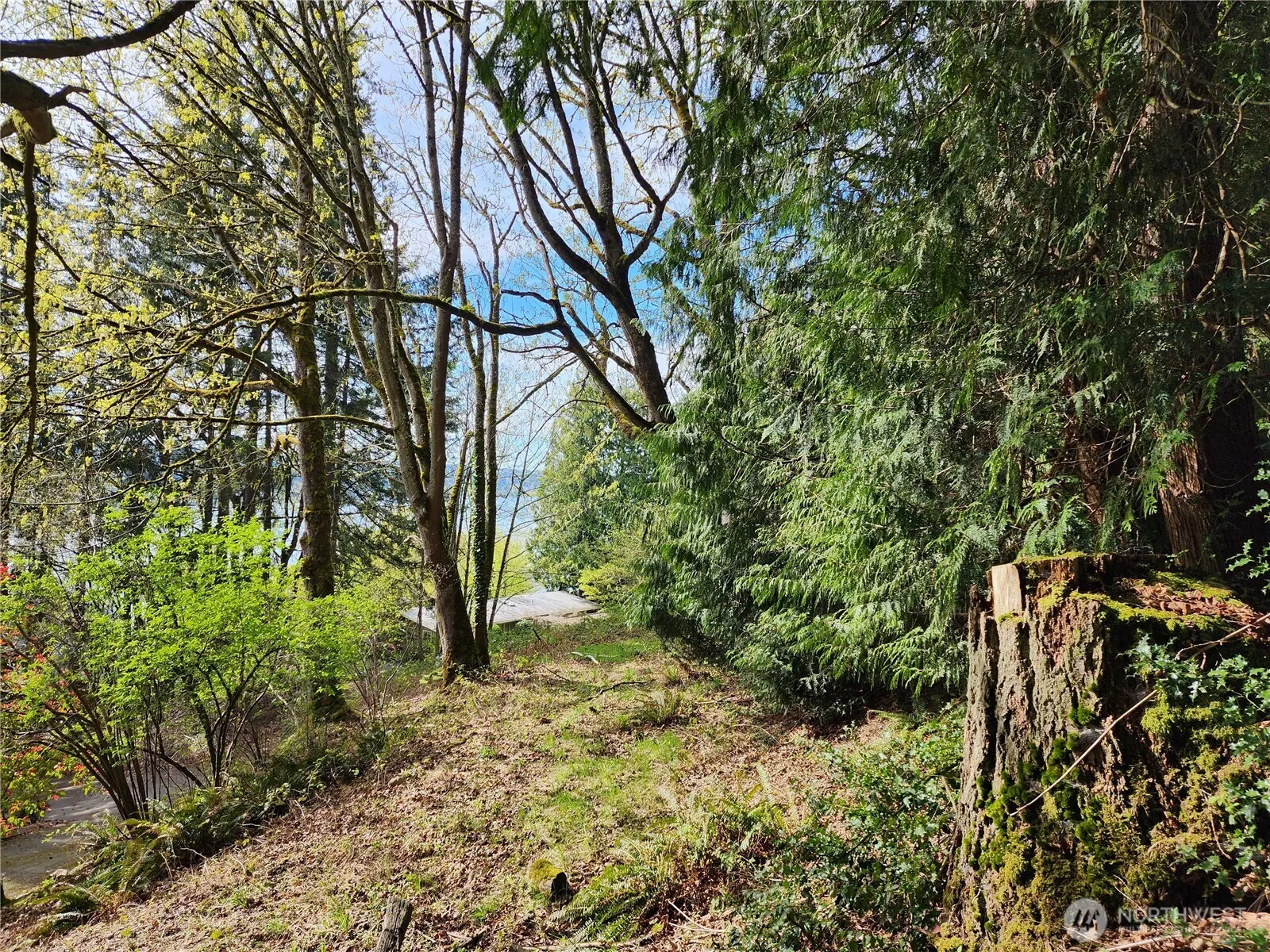 0 E Lake Sammamish Parkway NE, Sammamish, WA 98074