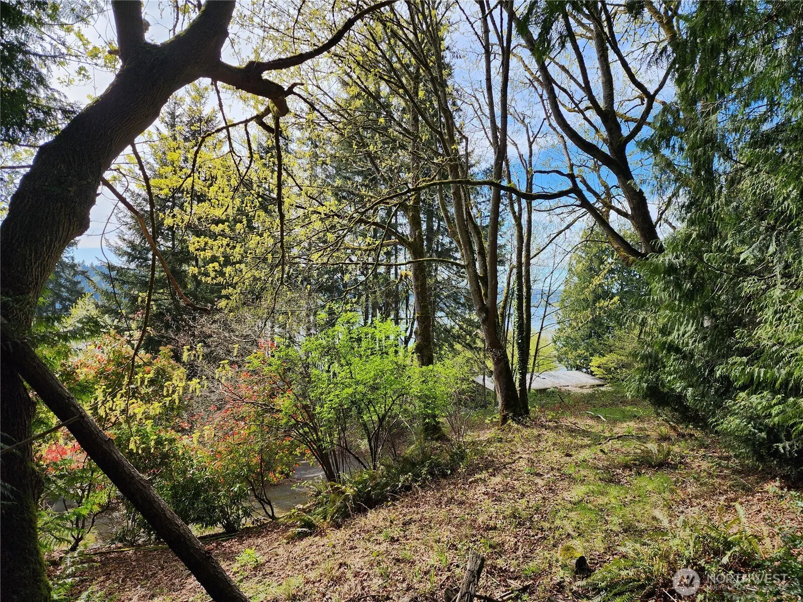 0 E Lake Sammamish Parkway NE, Sammamish, WA 98074