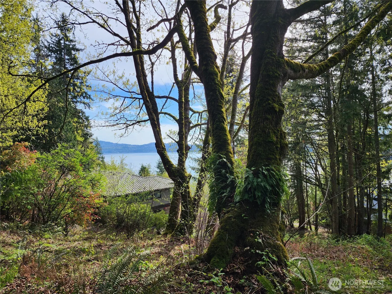 0 E Lake Sammamish Parkway NE, Sammamish, WA 98074