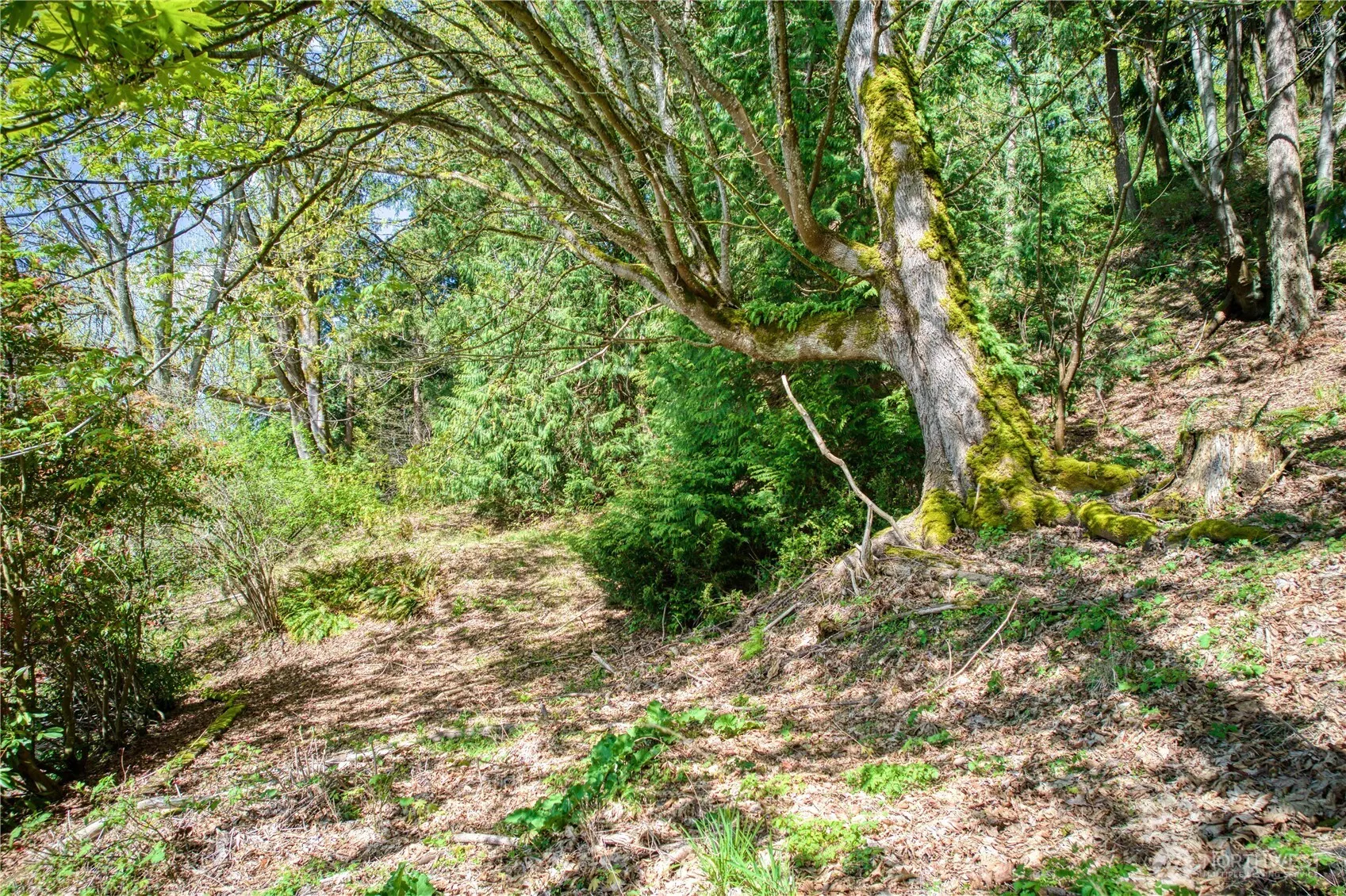 0 E Lake Sammamish Parkway NE, Sammamish, WA 98074