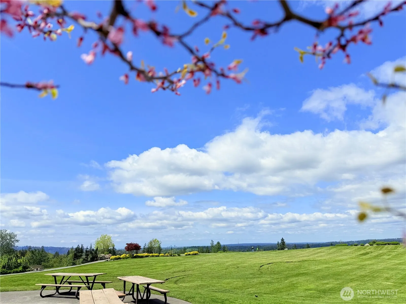 3262 NE Marquette Way , Issaquah, WA 98029