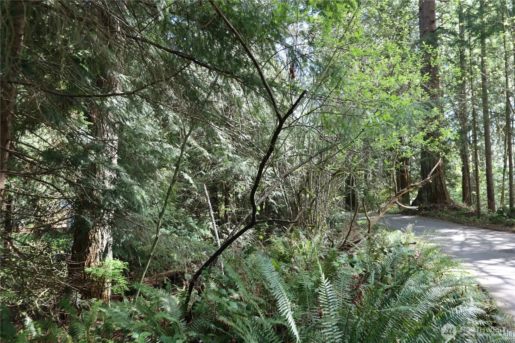 260 XX SE 18th Place , Sammamish, WA 98075