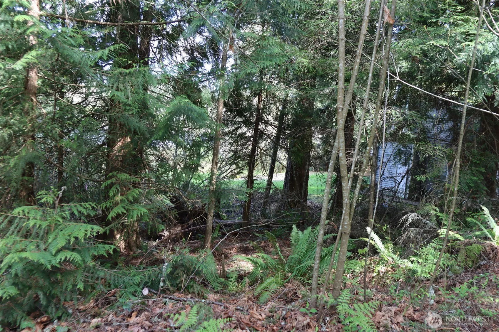 260 XX SE 18th Place , Sammamish, WA 98075