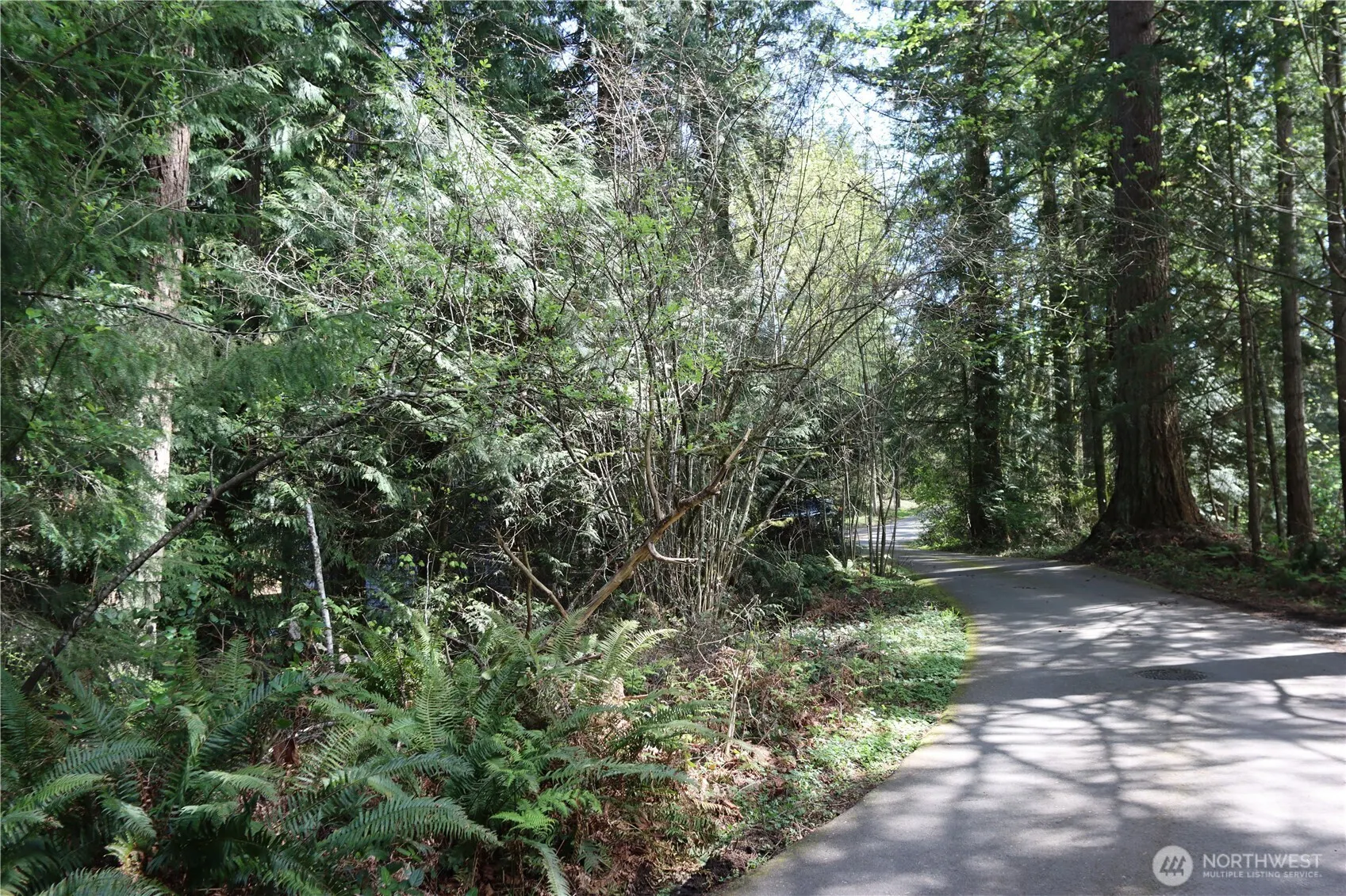 260 XX SE 18th Place , Sammamish, WA 98075