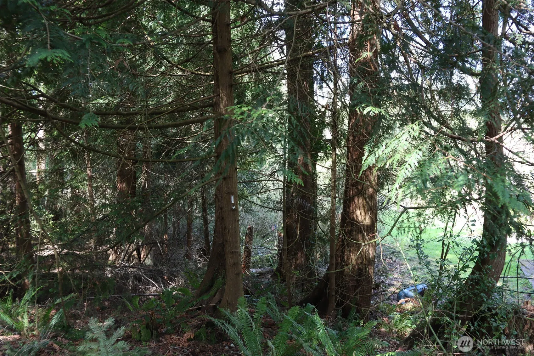260 XX SE 18th Place , Sammamish, WA 98075