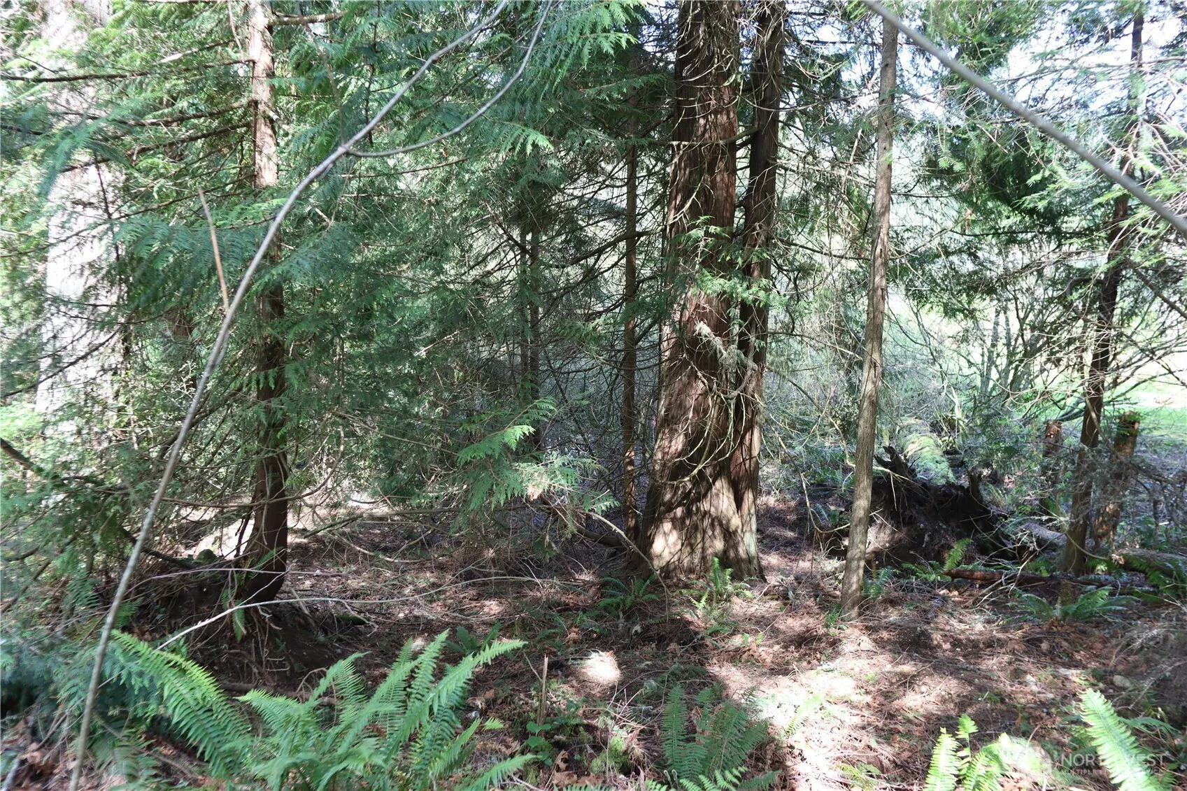 260 XX SE 18th Place , Sammamish, WA 98075