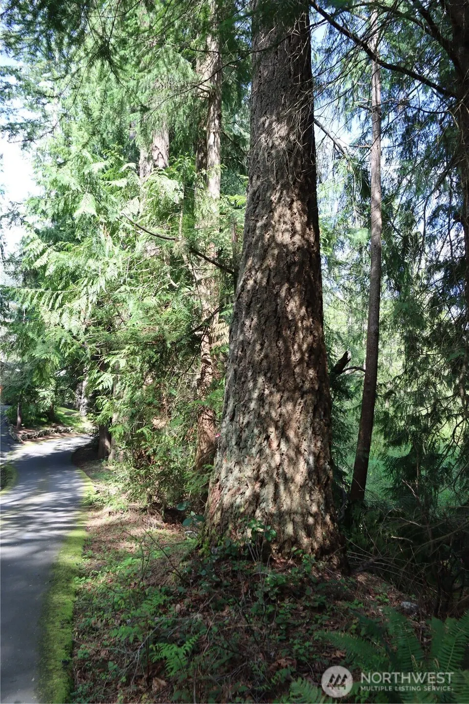 260 XX SE 18th Place , Sammamish, WA 98075