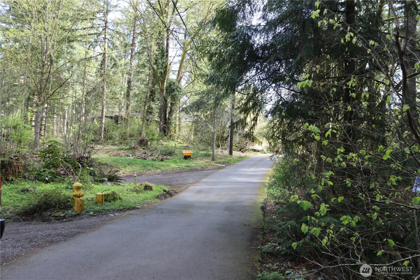 260 XX SE 18th Place , Sammamish, WA 98075