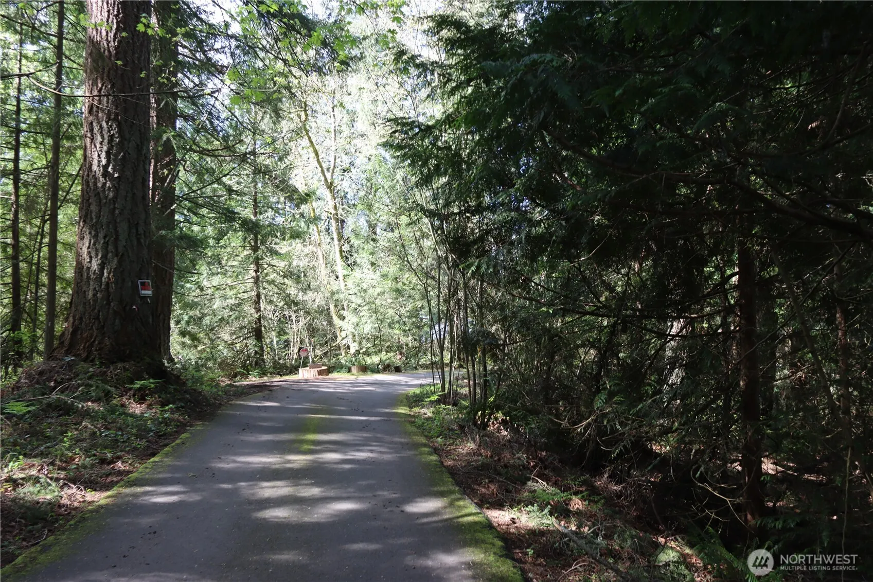 260 XX SE 18th Place , Sammamish, WA 98075