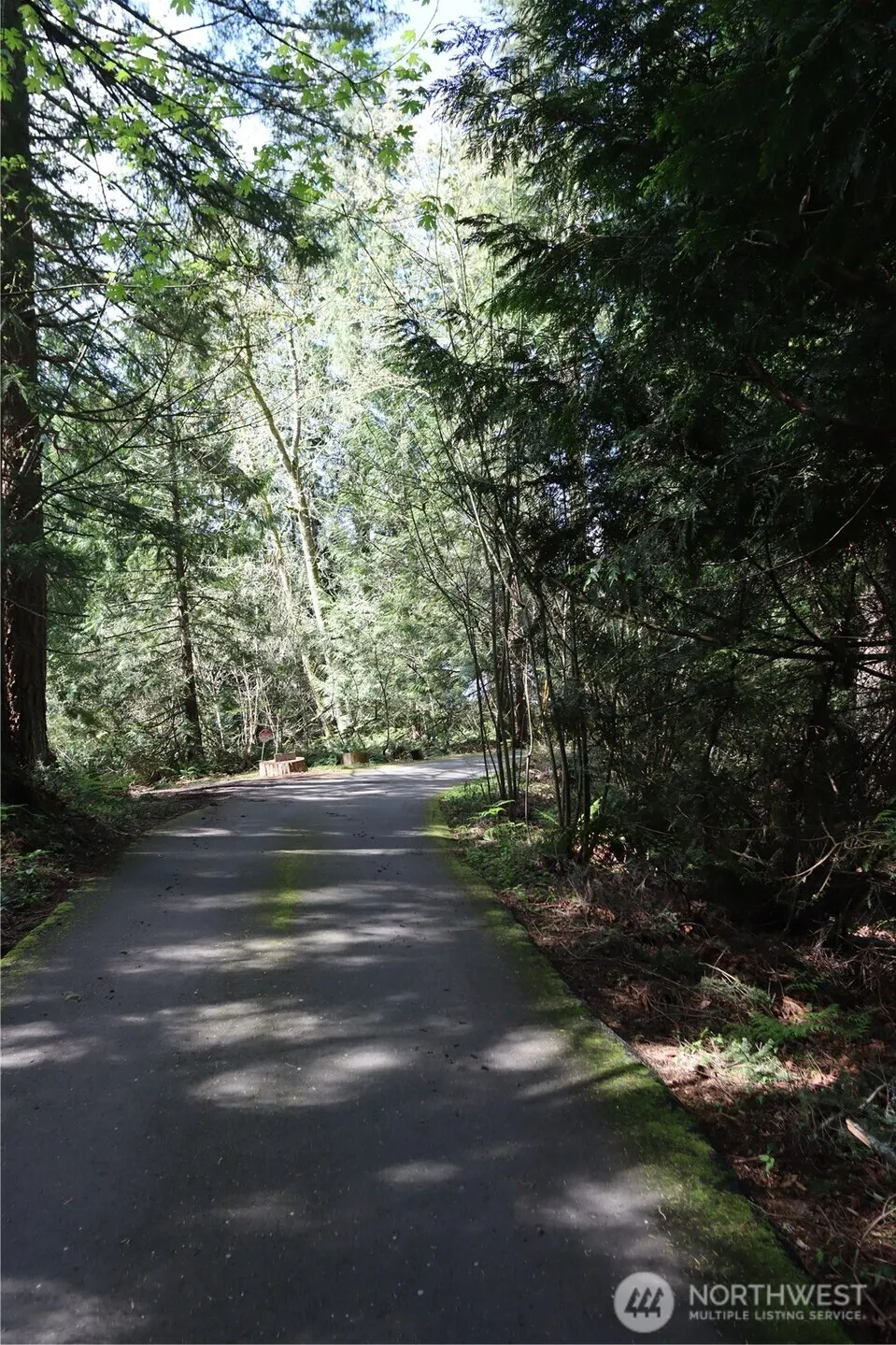 260 XX SE 18th Place , Sammamish, WA 98075
