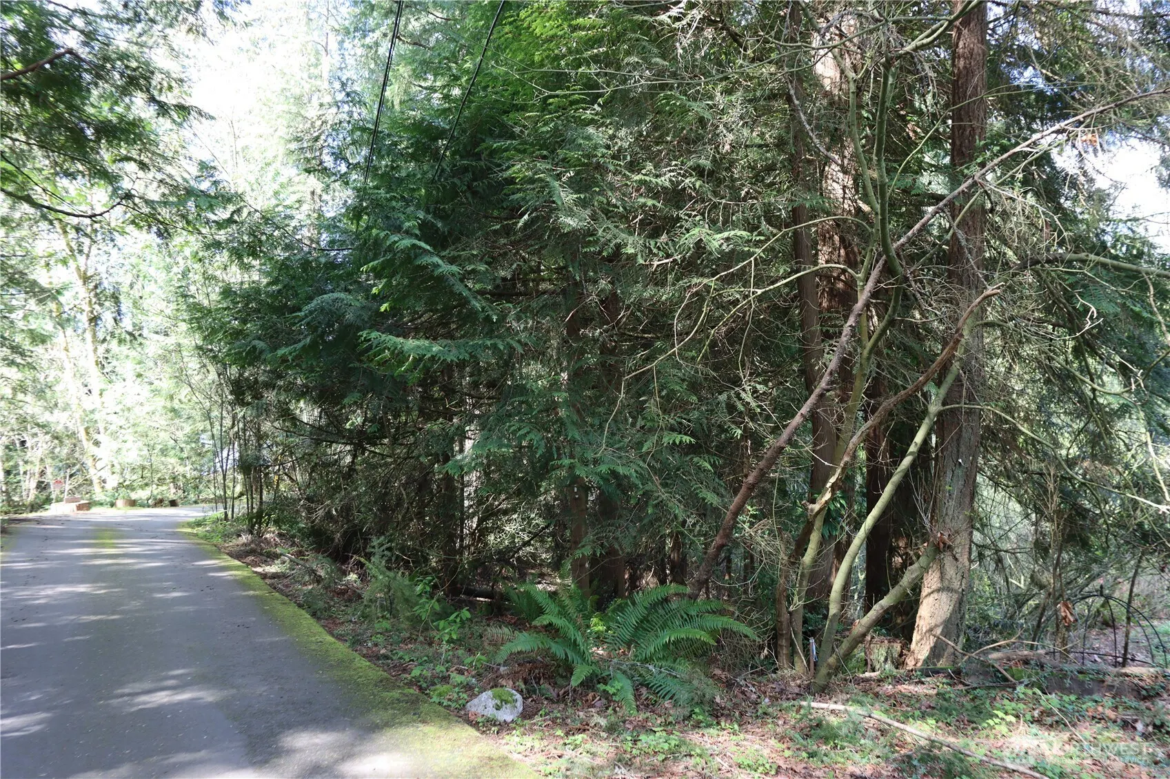 260 XX SE 18th Place , Sammamish, WA 98075