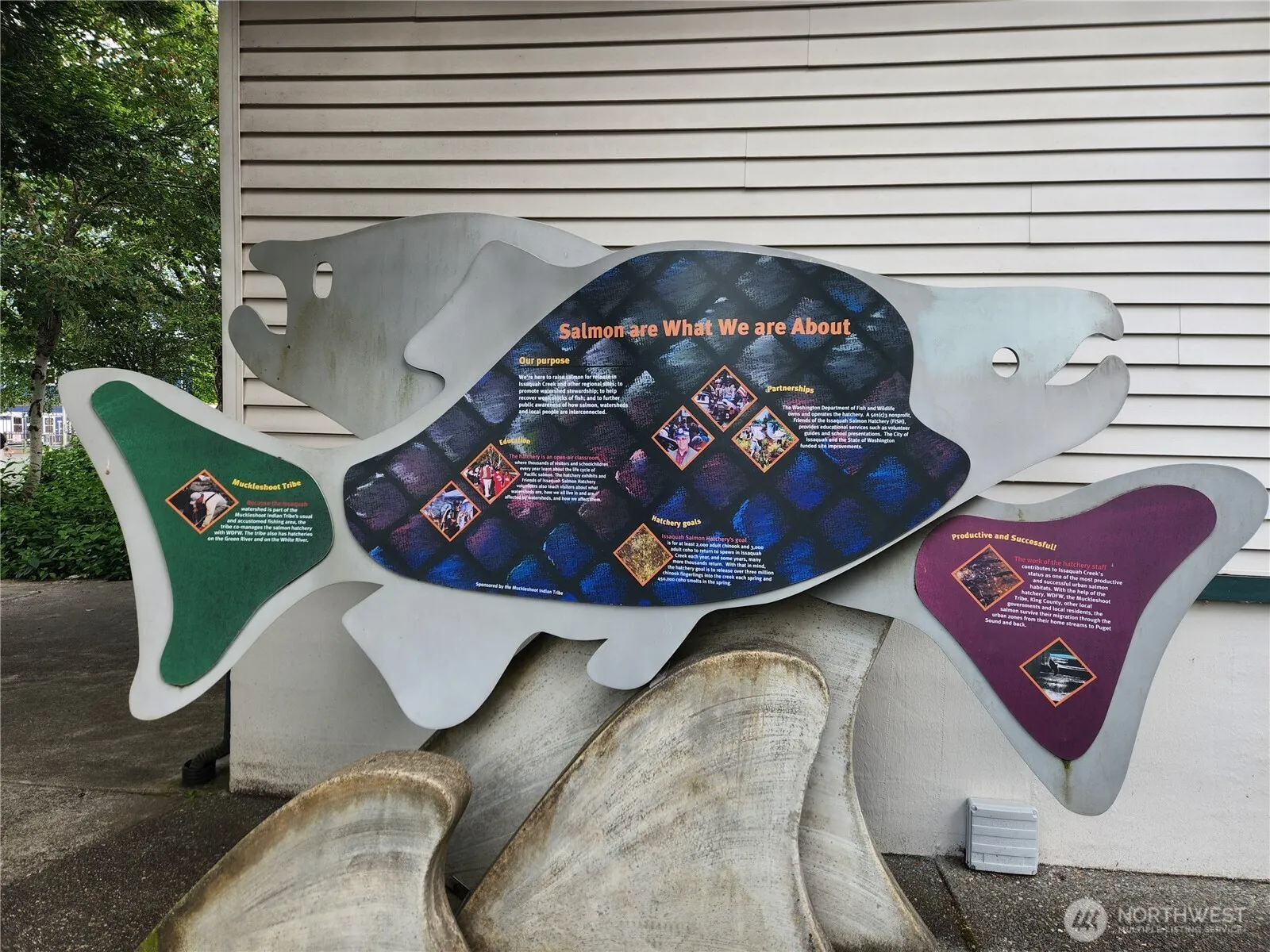 220 SW Clark Street #B303, Issaquah, WA 98027-3716