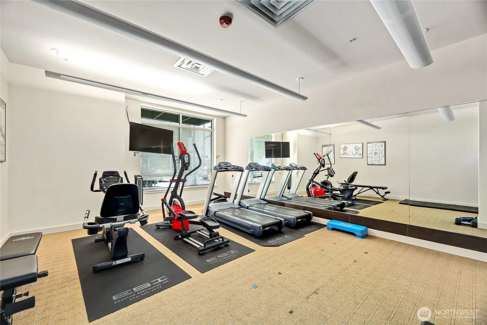 16141 Cleveland Street #203, Redmond, WA 98052