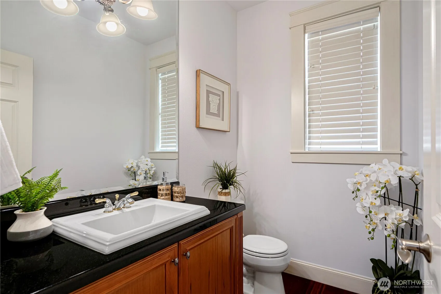 6230 167th Avenue SE, Bellevue, WA 98006