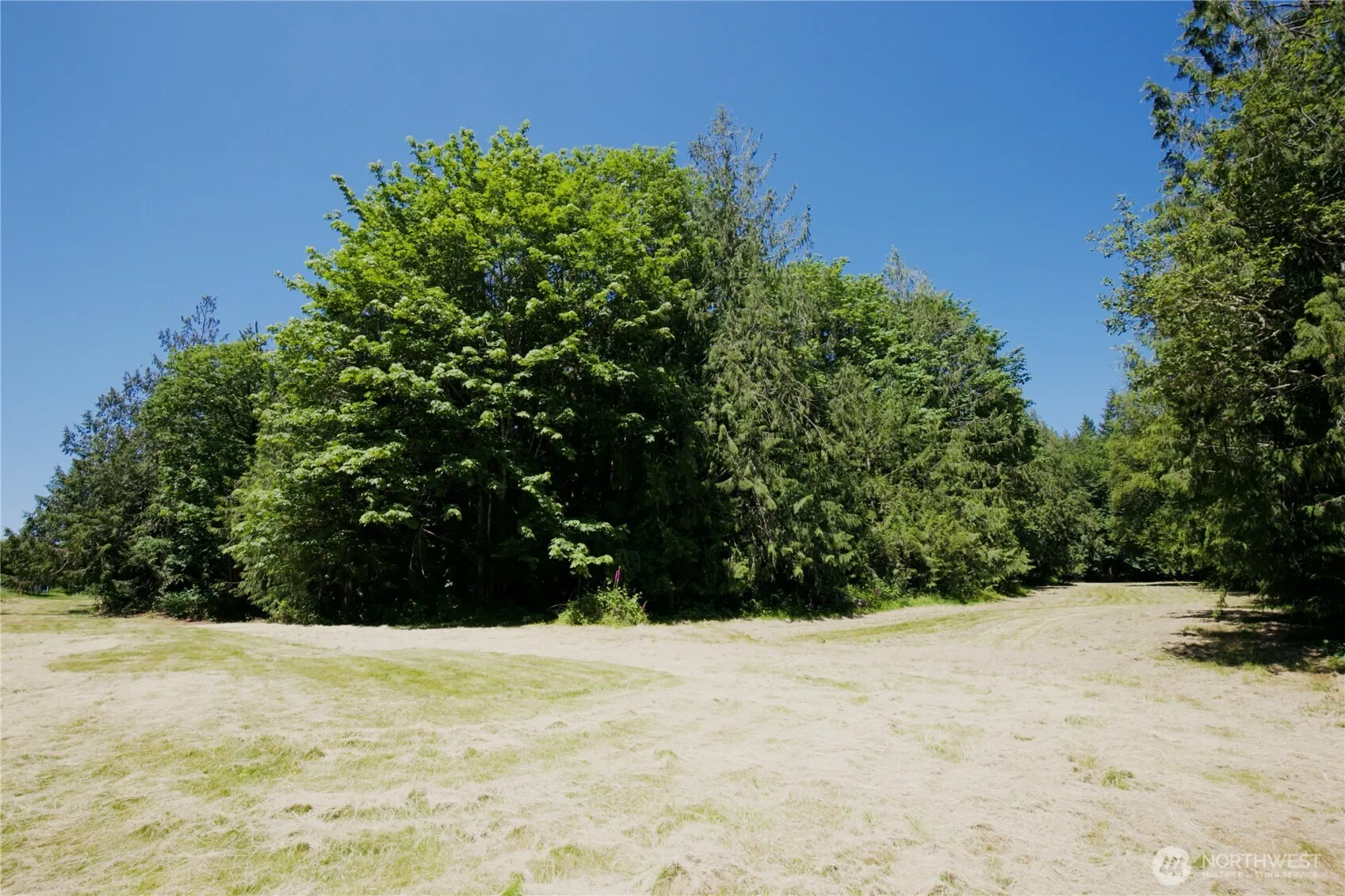 27435 NE 22nd Street , Redmond, WA 98053