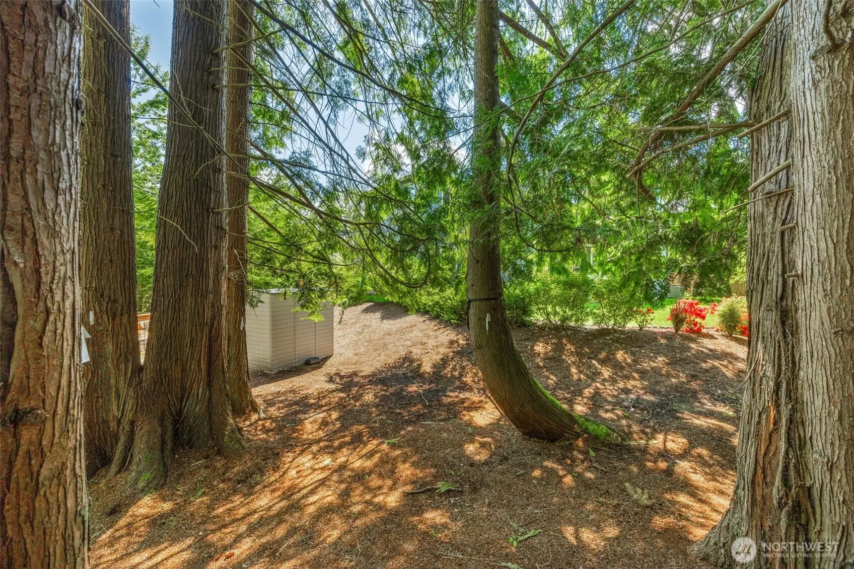 21888 SE 5TH Place , Sammamish, WA 98074