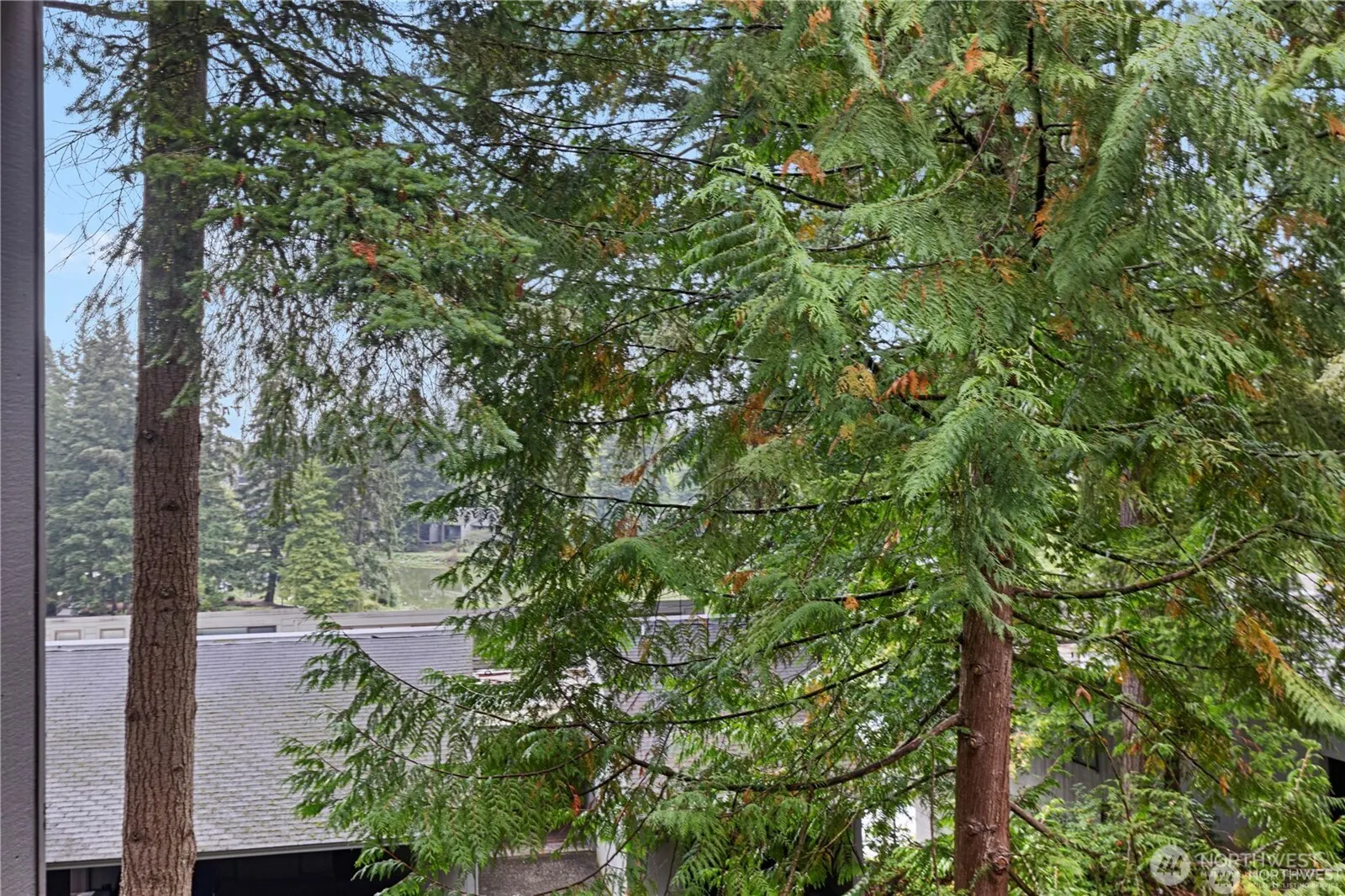 13838 NE 60th Street #165, Redmond, WA 98052