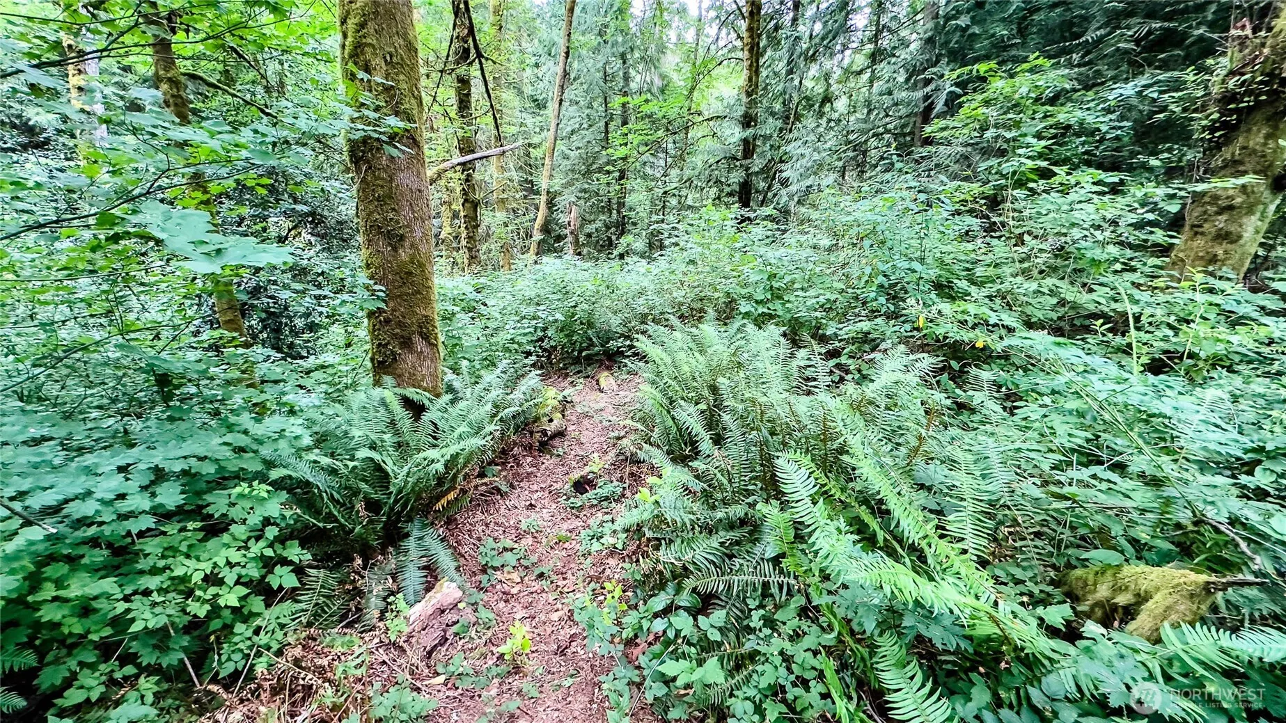 22526 53rd Avenue SE, Bothell, WA 98021-8003