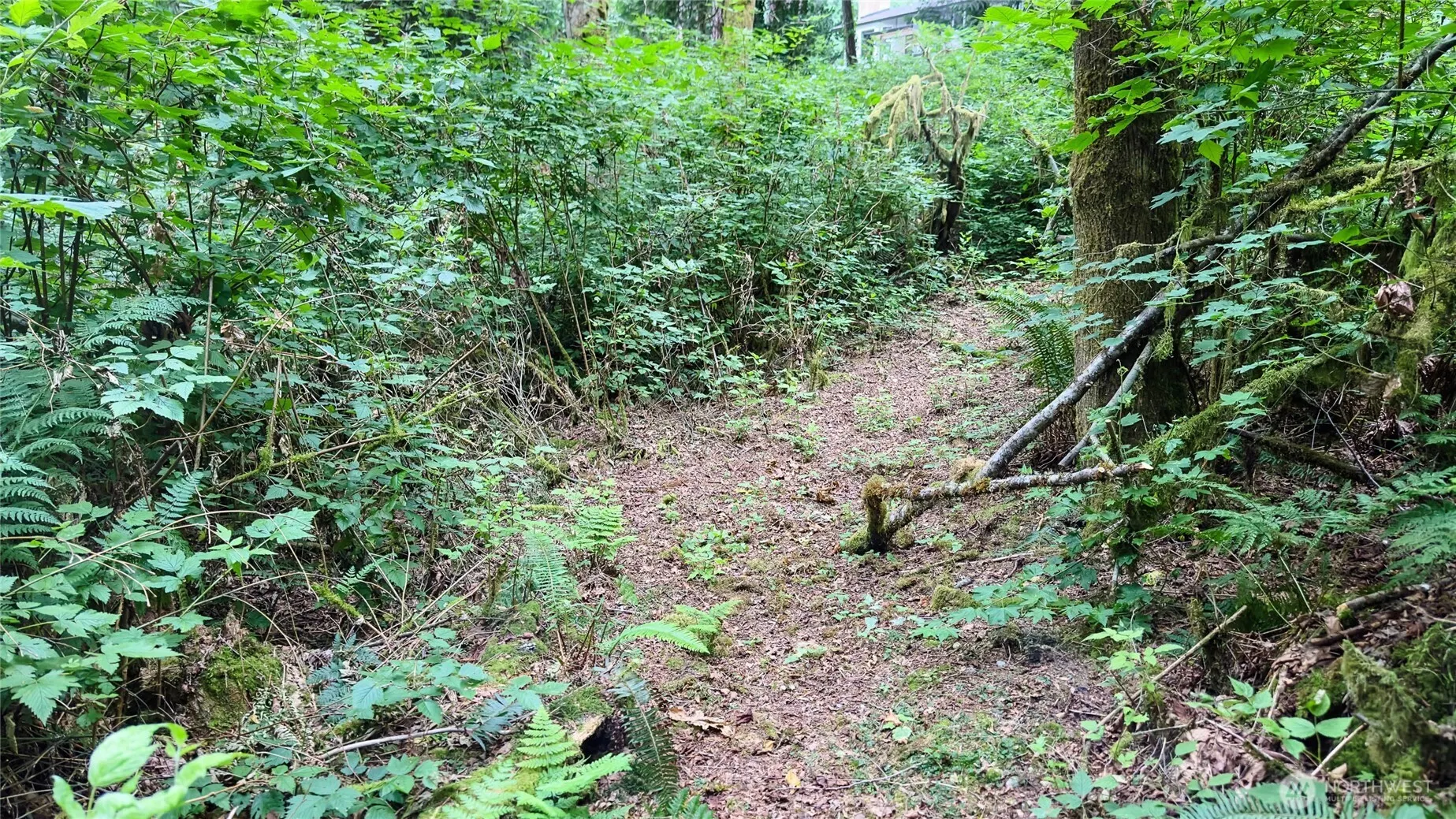 22526 53rd Avenue SE, Bothell, WA 98021-8003