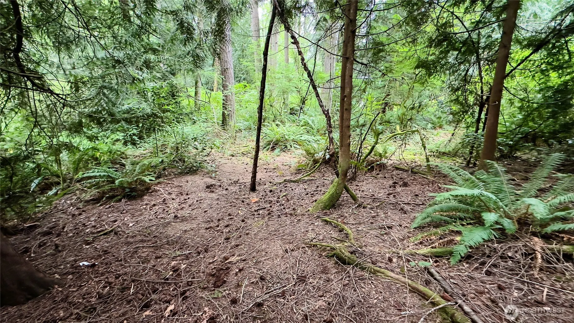22526 53rd Avenue SE, Bothell, WA 98021-8003