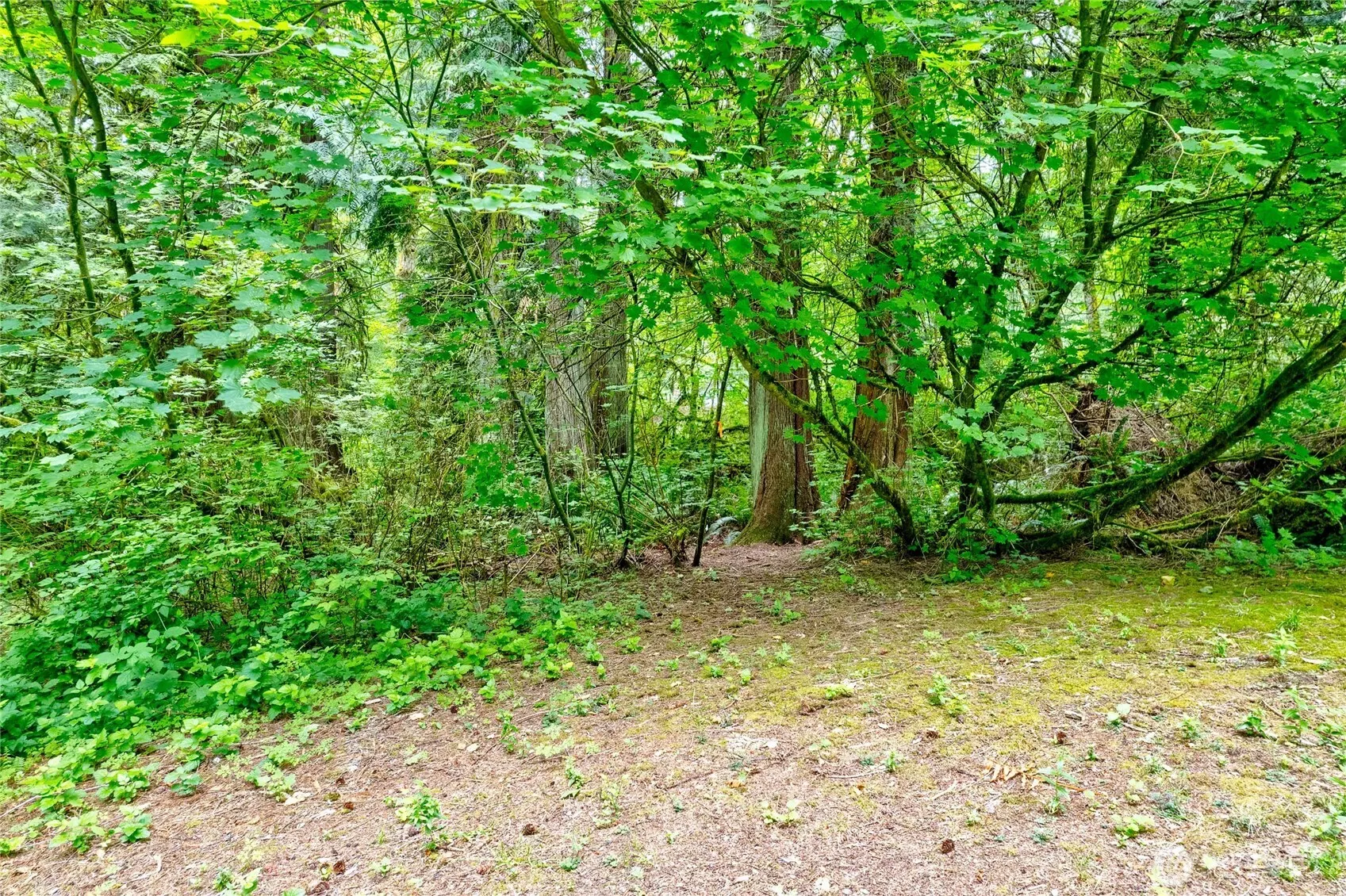22526 53rd Avenue SE, Bothell, WA 98021-8003