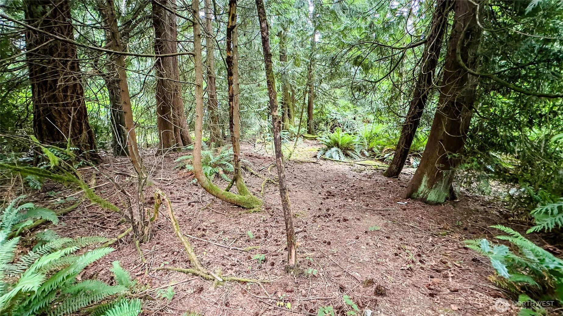22526 53rd Avenue SE, Bothell, WA 98021-8003