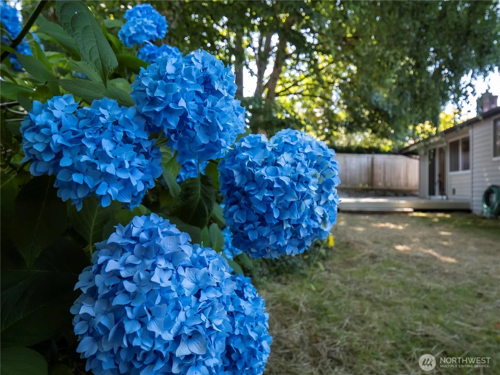 1908 SE 21st Place , Renton, WA 98055