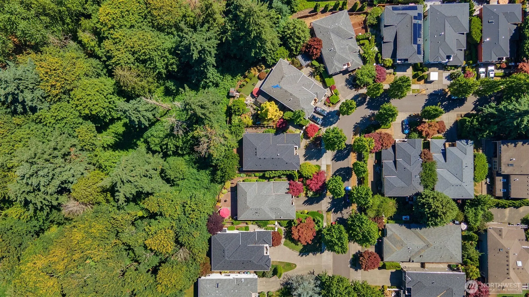 11218 NE 117th Street , Kirkland, WA 98034