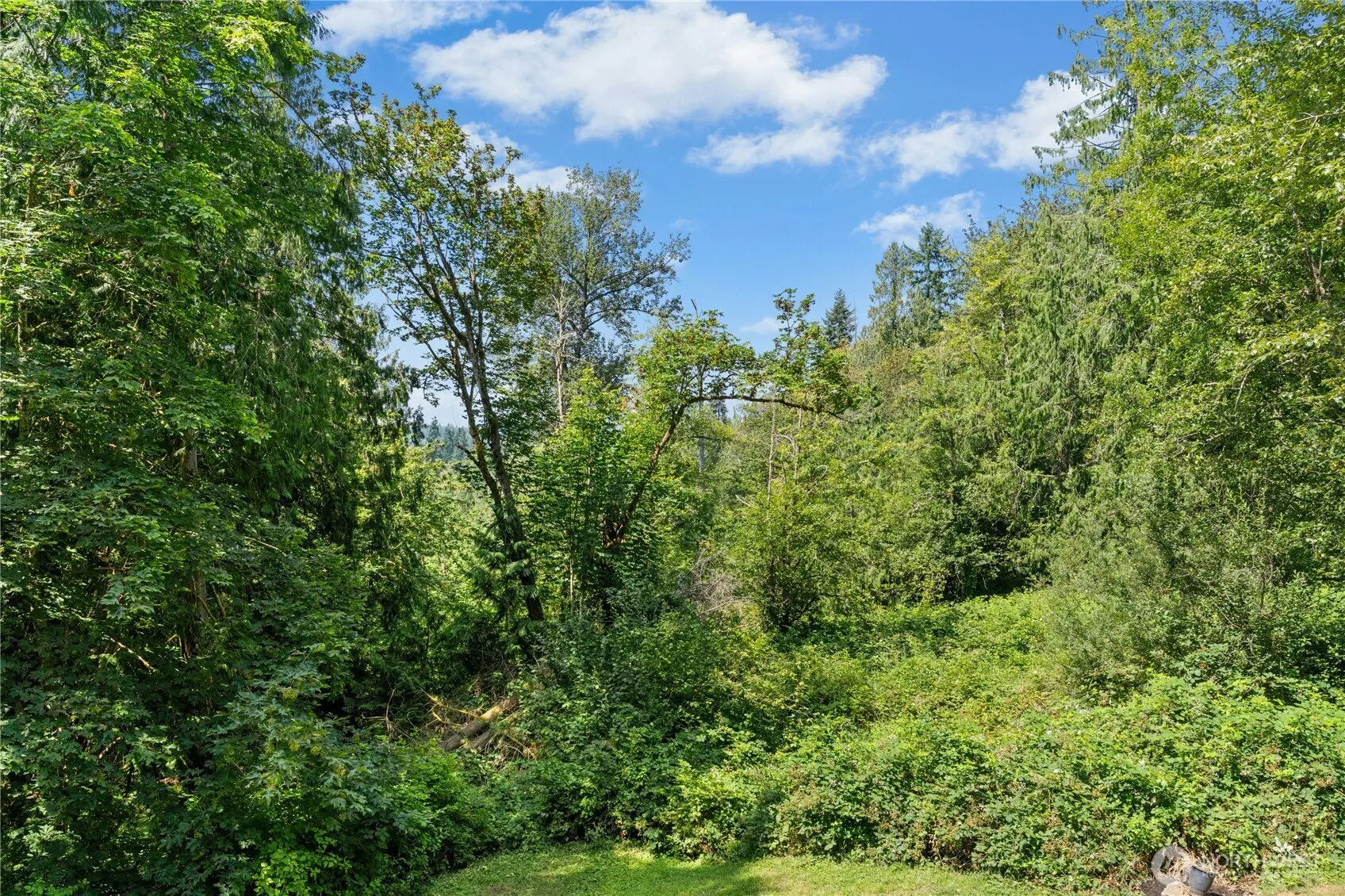 16519 Tiger Mountain Road SE, Issaquah, WA 98027