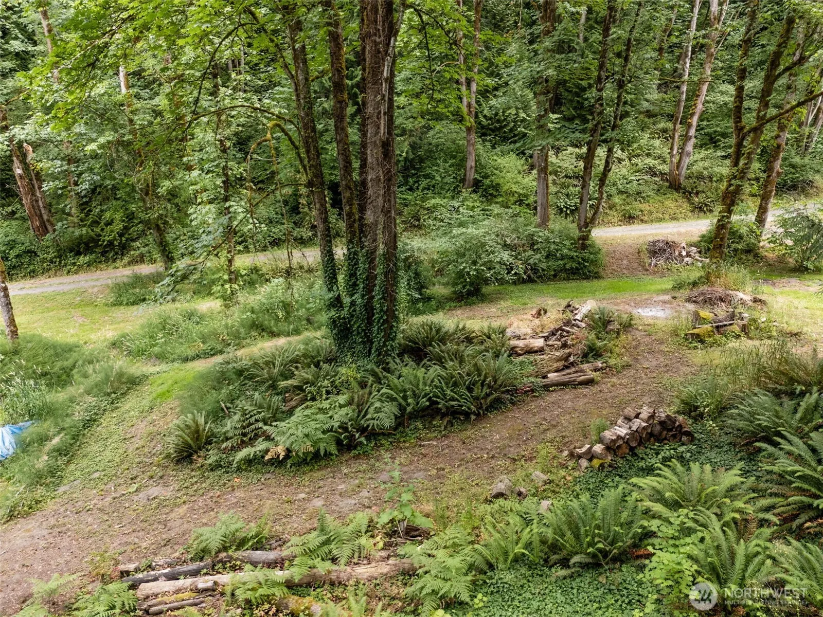 15350 SE May Valley Road , Renton, WA 98059