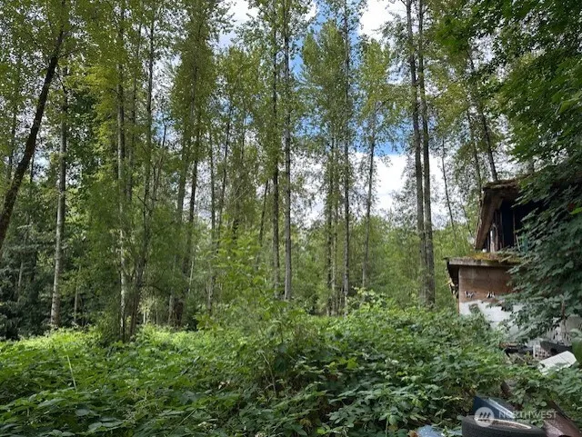 17037 Tiger Mountain Road SE, Issaquah, WA 98027